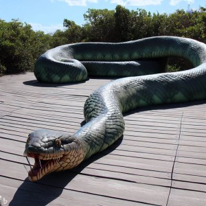 Giant snake on a wooden jetty.